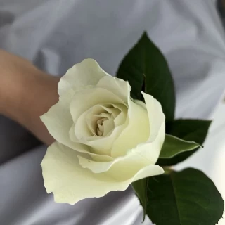 チャペルで新郎に渡す薔薇