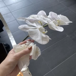 チャペルの装飾