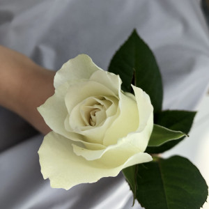 チャペルで新郎に渡す薔薇|624725さんのラ・メゾン Suite 姫路の写真(1551517)