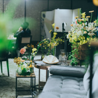 コーディネート