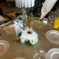 コーディネート