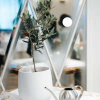 植樹式で使用した植木