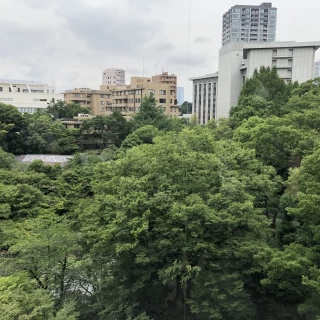 都心なのに緑が多く開放的でした。