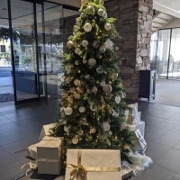 ロビー（クリスマスの装飾）