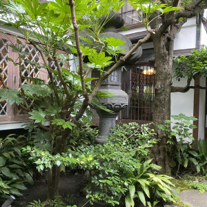 一面緑のお庭は涼しくて素敵でした。|625218さんの藤屋御本陳（THE FUJIYA GOHONJIN）の写真(1538847)
