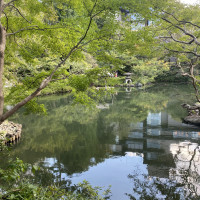 庭園が爽やか