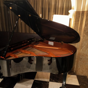 チャペル内の生演奏をしてくれるピアノ|625478さんのCENTURY COURT Marunouchi（センチュリーコート マルノウチ）の写真(1515496)