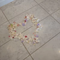フラワーシャワー