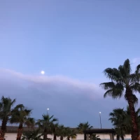 リゾート感があるガーデン