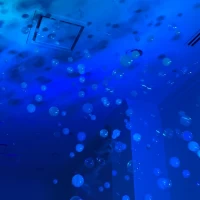 退場時演出（ドライアイス入りシャボン玉）