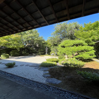 入口すぐの日本庭園