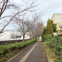 左側が駅で、右側が会場入り口。駅からほぼ直結です