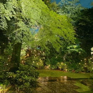夜の景色も素敵でした。