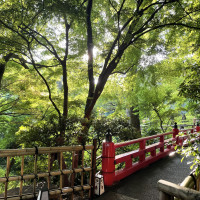 東京にいるとは思えない、緑が多くて癒される庭園です