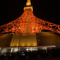 エントランスから撮影した夜の東京タワー