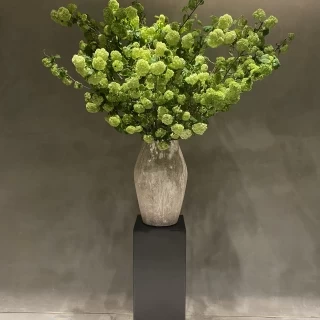 人前式をここで行いました。