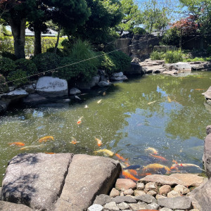 中庭|627492さんのTHE GARDEN DINING 弓絃葉（ザ・ガーデンダイニング ユズルハ）の写真(1534929)