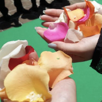 フラワーシャワー