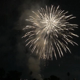 夜のルイガンズのお庭です。夜もすてきです。