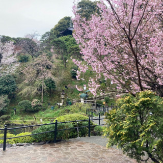 桜の時期はとてもおすすめです