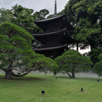 三重の塔