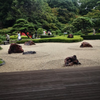 枯山水が見えます