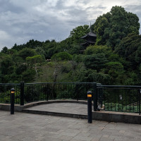 自然があふれる式場でした