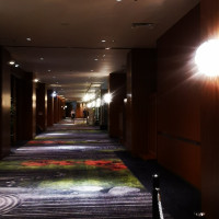 フカフカの絨毯が館内に敷かれています
