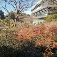 都心とは思えない庭園！