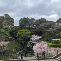 庭園全体が綺麗に整えられていました