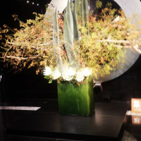 入口の立派なお花