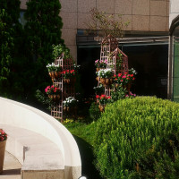 季節のお花が咲いてます