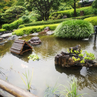 本格的な日本庭園