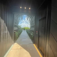 森イメージ
