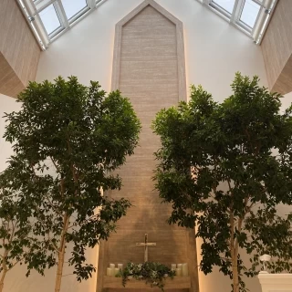 本物の木が植えられていて、自然が感じられました