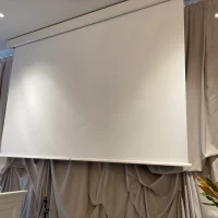大きなスクリーンは会場に2つあり