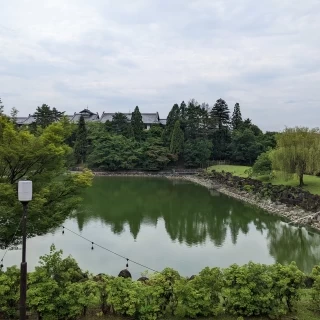 披露宴会場からの風景（7月中旬）