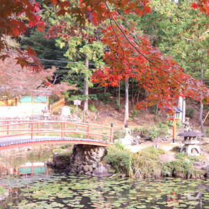 非常に人気のスポットでとても綺麗でした。|629261さんの大原野神社の写真(1542720)