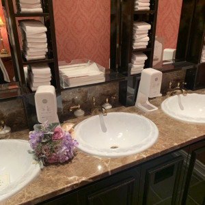 女性用化粧室の手洗い場|629315さんの赤坂 アプローズスクエア迎賓館の写真(1543357)