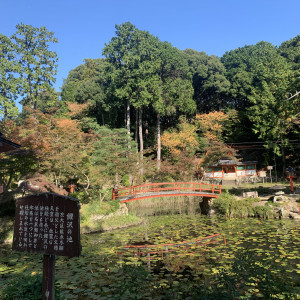 挙式会場|629457さんの大原野神社の写真(1544227)