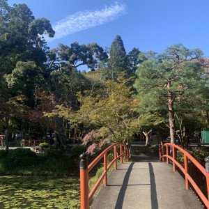 挙式会場|629457さんの大原野神社の写真(1544223)