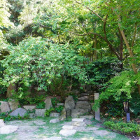 庭は日本庭園