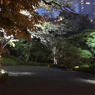 庭