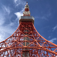 テラスから望める東京タワーです。