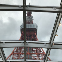 天井からは東京タワーが望めます。