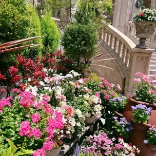 バイブリーコートには色とりどりのお花がありました。
