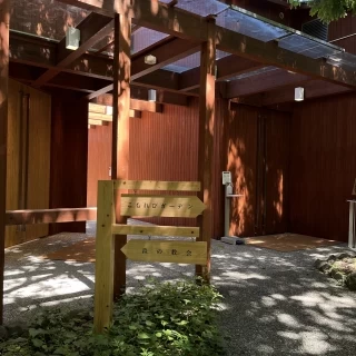 木に囲まれているので木漏れ日が綺麗でした。