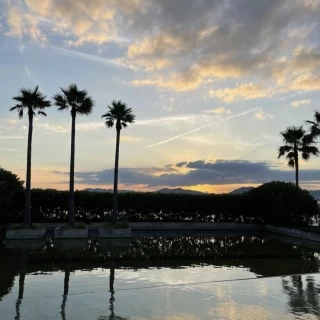 ブルービジューから出てすぐの景色
