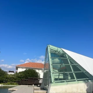 フラワーシャワーから見える挙式会場です