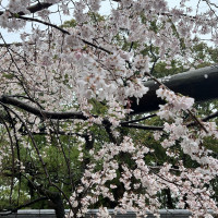 披露宴会場外